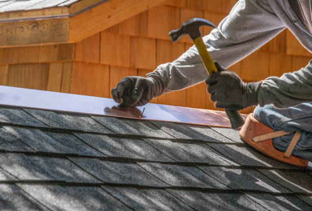 Best Roof Moss and Algae Removal  in Springfield, TN