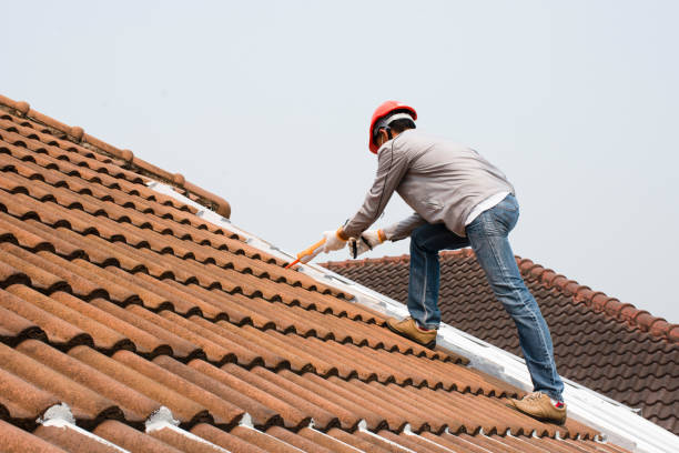 Best Roof Leak Repair  in Springfield, TN