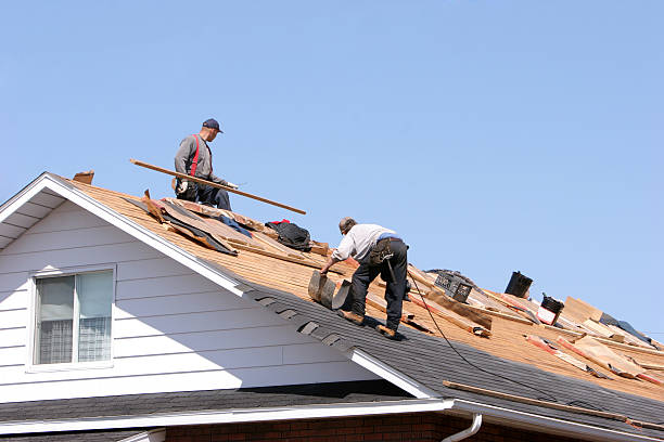 Best Cold Roofs  in Springfield, TN